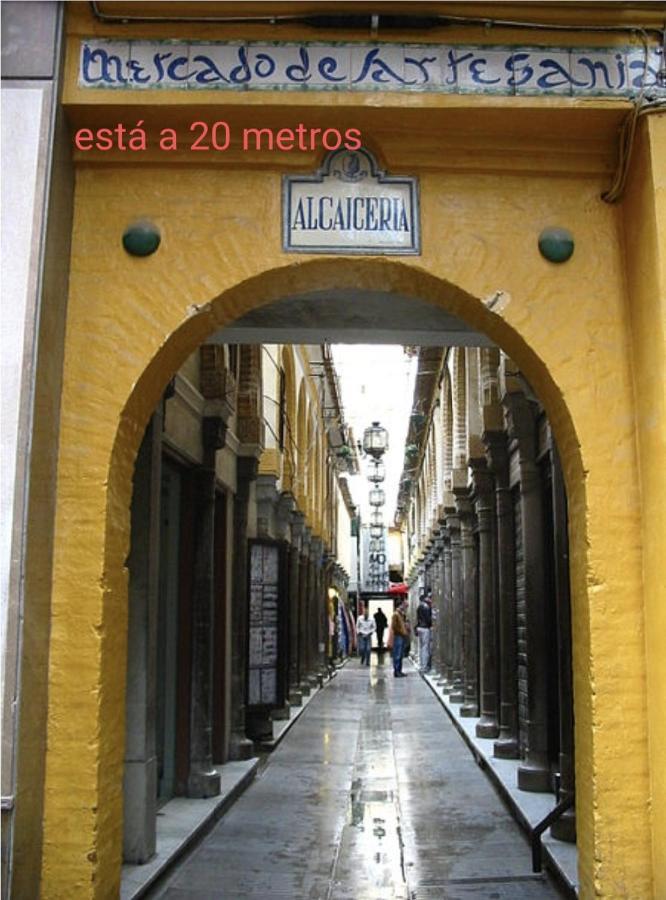 En El Corazon De Granada Apartment Bagian luar foto